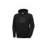 Helly Hansen Hh Box Hoodie