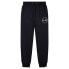 Фото #1 товара ELLESSE Pastina Joggers