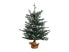 Фото #2 товара Weihnachtsbaum RINGROSE