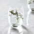 RM L'eau Wasserglas