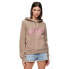 Фото #1 товара SUPERDRY Metallic Vl Graphic hoodie