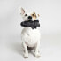 Фото #2 товара Игрушка для собак Star Wars Чёрная 22 x 7 x 24 см