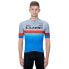 Фото #3 товара CUBE TeamLine short sleeve jersey