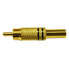 EUROCONNEX Male Gold Black Lines rca cable 5-6 mm