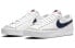 Кроссовки Nike Blazer Low 77 GS DA4074-100