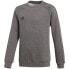 Фото #1 товара Sweatshirt adidas Core18 JR CV3969