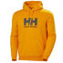 Фото #1 товара Helly Hansen Logo Hoodie M 33977-328