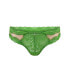 ფოტო #3 პროდუქტის Plus Size Melrose Cheeky Panty