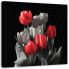 Фото #1 товара Leinwandbild Tulpen Rot Natur Blumen