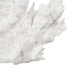 Фото #2 товара Декоративная фигура Белый Коралл 29 x 20 x 21 cm