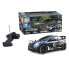 TACHAN Car R/C Rally Extreme 1:16 24 Ghz Remote Control