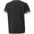 Фото #2 товара T-shirt Puma teamRise Jersey Jr 704938 03