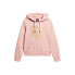 SUPERDRY Retro Glitter Logo hoodie