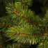 Фото #8 товара Weihnachtsbaum Jutesack Forest Frosted