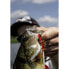 Фото #17 товара QUANTUM FISHING 4street B-Ass Creature Soft Lure 63.5 mm 2g