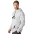 HELLY HANSEN Nord Graphic hoodie