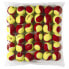 Фото #1 товара WILSON Starter Tennis Ball 36 Units