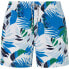 Фото #2 товара PEPE JEANS Leaf Swimming Shorts