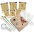 4M Kidzlabs/Creepy Crawly Digging Kit Labs Kit