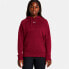 Фото #1 товара UNDER ARMOUR Rival Fleece hoodie