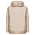 OAKLEY APPAREL Soho SL Po 2.0 hoodie