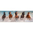 Фото #2 товара CLEMENTONI 1000 Panorama Horses Panorama Puzzle