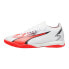 Puma Ultra Match It