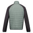 Фото #4 товара REGATTA Clumber IV jacket