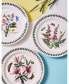 Botanic Garden Dinner Plates, Assorted Set of 6