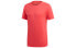 Adidas LogoT DQ1852 T-shirt