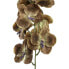 Фото #4 товара Künstliche Blume Orchidee