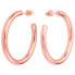 ფოტო #1 პროდუქტის ROSEFIELD JCHBR-J082 Earrings