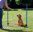 Фото #3 товара Аксессуар для амуниции и дрессировки собак TRIXIE Палка тренировочная 129х115 см
