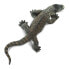 Фото #6 товара Фигурка Safari Ltd Komodo Dragon Figure Wild Safari (Дикая Сафари).