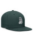 Men's Green Michigan State Spartans Legacy True Fitted Hat