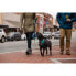 Фото #8 товара RUFFWEAR Stumptown Quilted Dog Jacket