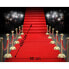 Carpet Red 450 x 60 cm