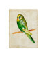 Фото #1 товара Chariklia Zarris Fanciful Birds III Canvas Art - 20" x 25"
