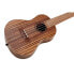 Kala KA-TEAK-C Concert Ukulele