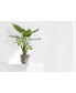 Фото #2 товара Eco pots Oslo Durable Indoor and Outdoor Planter, 6in