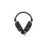 Headphones with Microphone Endorfy EY1A003 Black