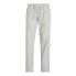 JACK & JONES Kane Summer Chino Pants