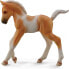 Фото #1 товара Figurka Collecta Źrebię Pinto Foal Walking Palomino (004-88668)