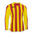 Фото #1 товара JOMA Copa long sleeve T-shirt