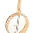 Фото #7 товара Gold Tone CC-Carlin 12 5-str.Banjo