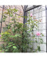 Rustproof Rose Trellis for Climbing Plants 86.7"x19.7"