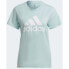 Фото #1 товара adidas Big Logo Tee W HL2027