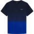 ფოტო #2 პროდუქტის HACKETT Ombre short sleeve T-shirt