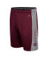 Фото #2 товара Men's Maroon Texas A&M Aggies Panel Shorts