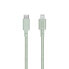 Фото #1 товара Native Union Belt Cable XL - 3 m - Lightning - USB C - Male - Male - Green
